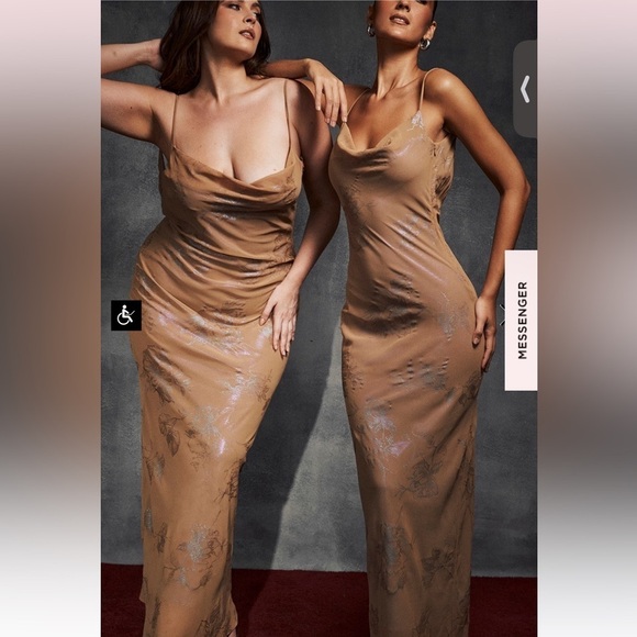 House of CB Dresses & Skirts - House of CB Gabrielle IRIDESCENT CAFE AU LAIT MAXI DRESS Size L+